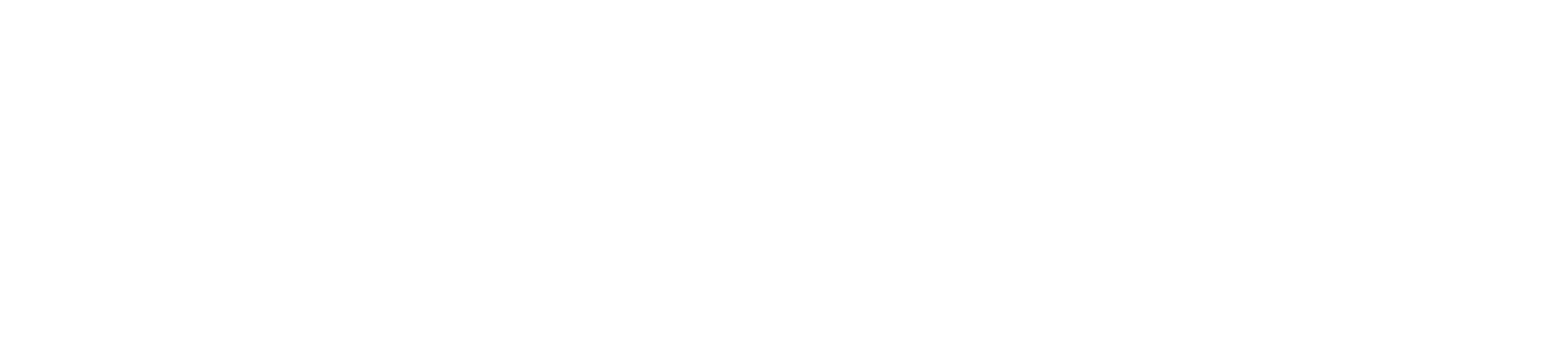 Dolomite Logo White